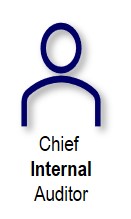 Chief Internal Auditor © AREM PSN